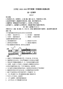 北京市大兴区2022-2023学年高一下学期期末生物试题(无答案)