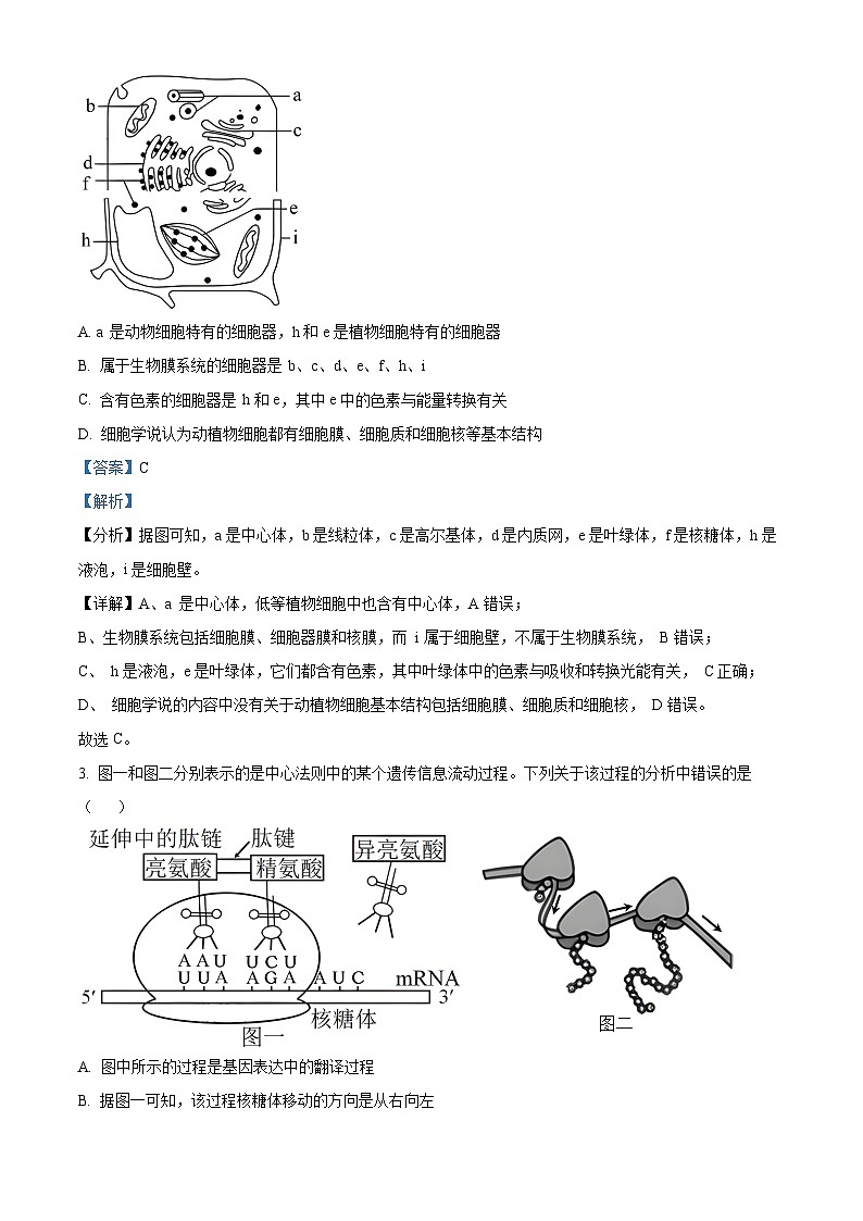 精品解析:甘肃省临洮中学2022-2023学年高二下学期期末生物试题(解析版)第2页