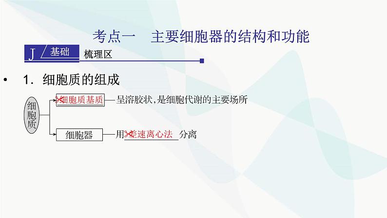 2024届人教版高考生物一轮复习细胞器之间的分工合作课件(多项)第3页