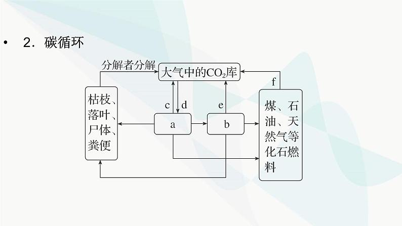 2024届人教版高考生物一轮复习生态系统的物质循环、信息传递及其稳定性课件(多项)第4页