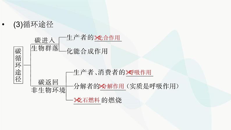 2024届人教版高考生物一轮复习生态系统的物质循环、信息传递及其稳定性课件(多项)第6页