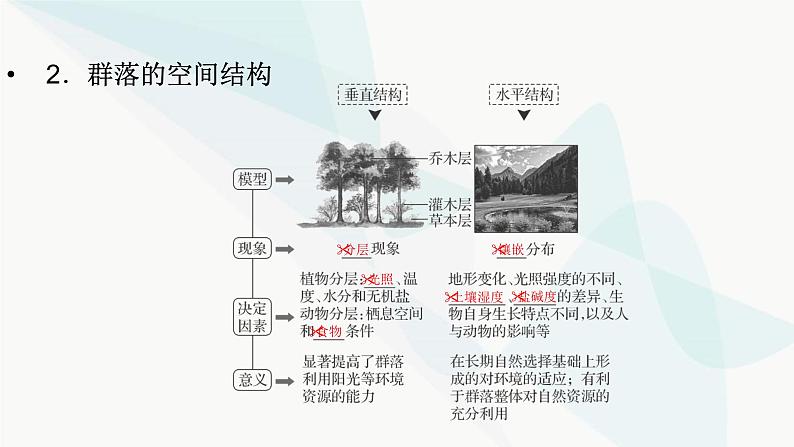 2024届人教版高考生物一轮复习群落及其演替课件(多项)第8页