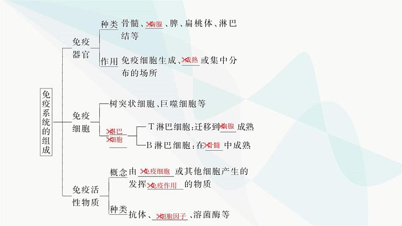 2024届人教版高考生物一轮复习免疫调节课件(多项)第4页