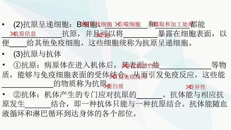 2024届人教版高考生物一轮复习免疫调节课件(多项)第5页