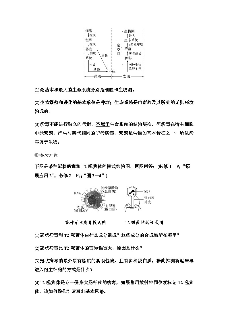 2024届人教版高中生物一轮复习走近细胞学案 (2)第3页