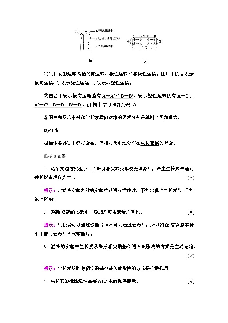 2024届人教版高中生物一轮复习植物的激素调节学案第3页
