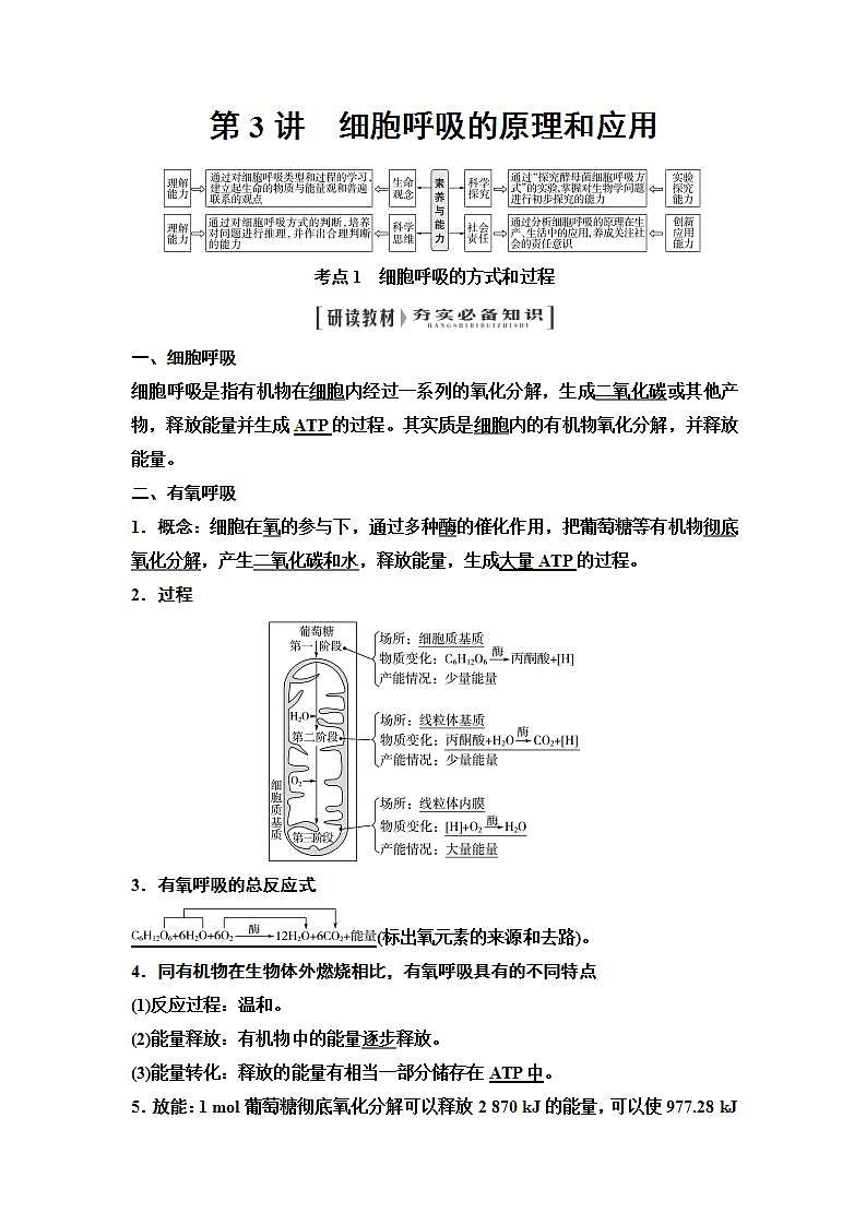 2024届人教版高中生物一轮复习细胞呼吸的原理和应用学案第1页