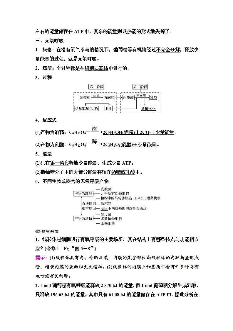 2024届人教版高中生物一轮复习细胞呼吸的原理和应用学案第2页