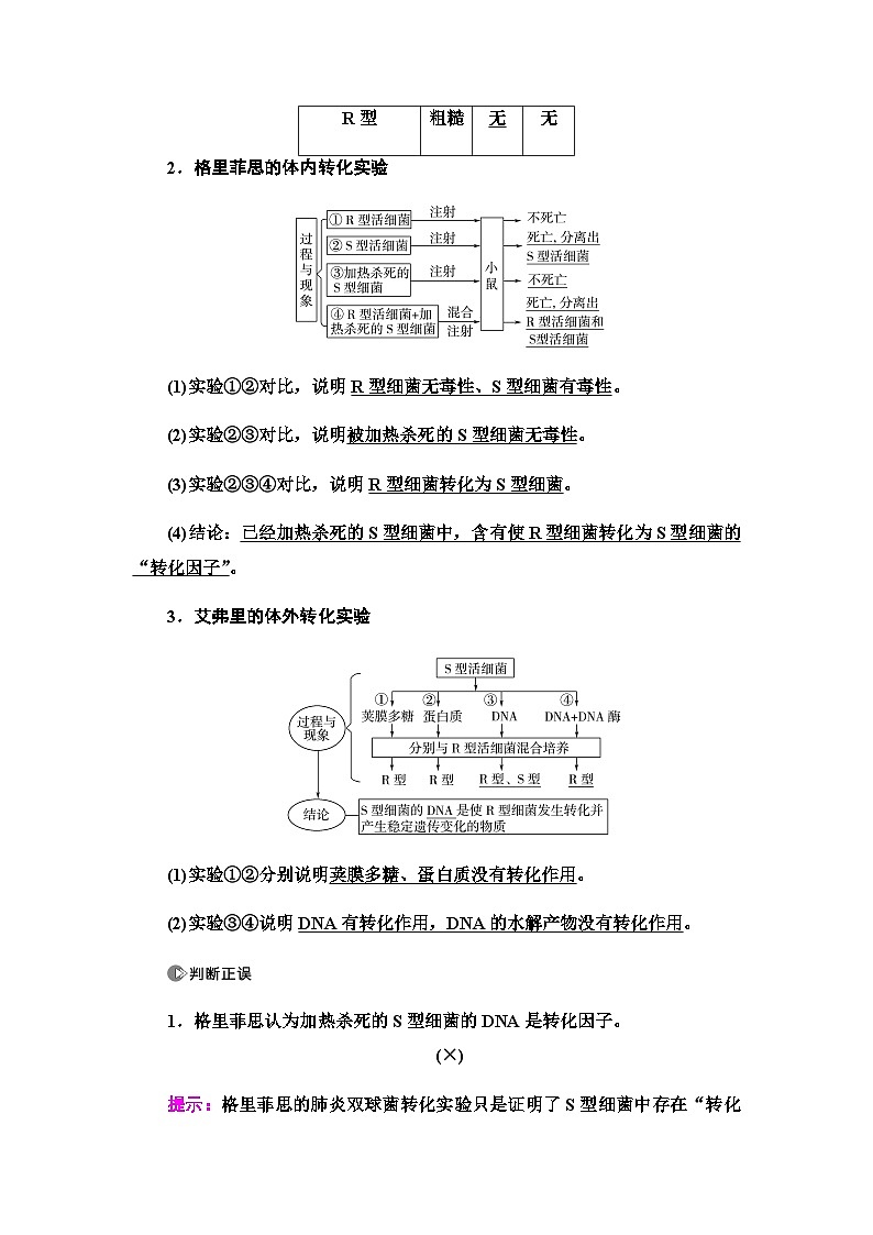 2024届人教版高中生物一轮复习DNA是主要的遗传物质学案第2页