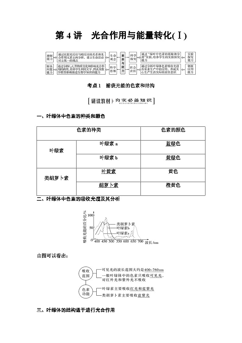 2024届人教版高中生物一轮复习光合作用与能量转化(Ⅰ)学案第1页