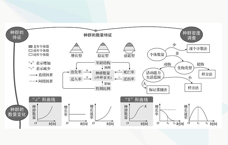2024届人教版高考生物一轮复习种群及其动态课件(单选版)第2页