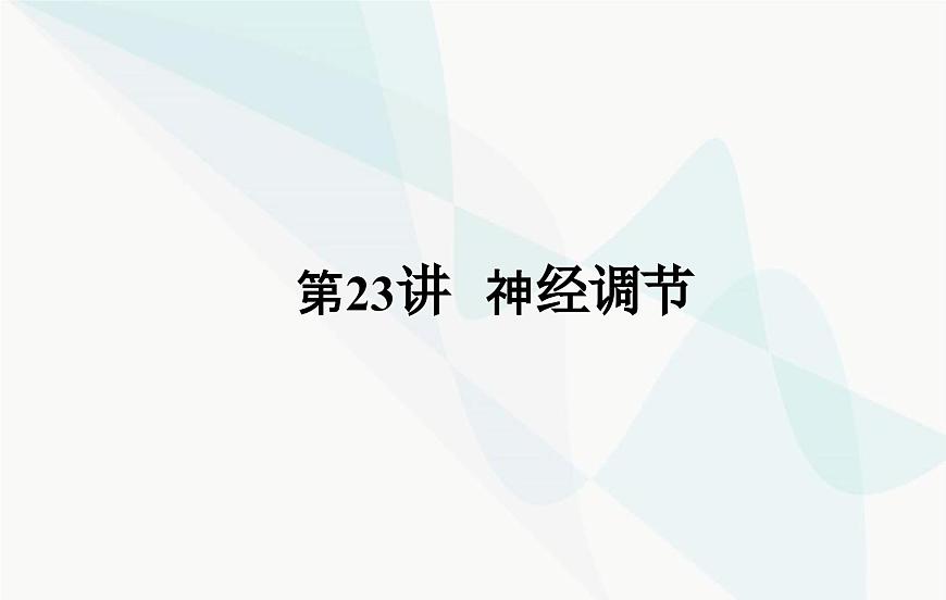 2024屆人教版高考生物一輪復習神經(jīng)調節(jié)課件(單選版)第2頁