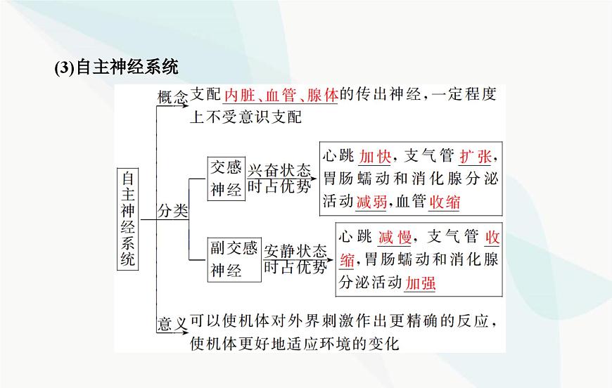 2024屆人教版高考生物一輪復習神經(jīng)調節(jié)課件(單選版)第6頁