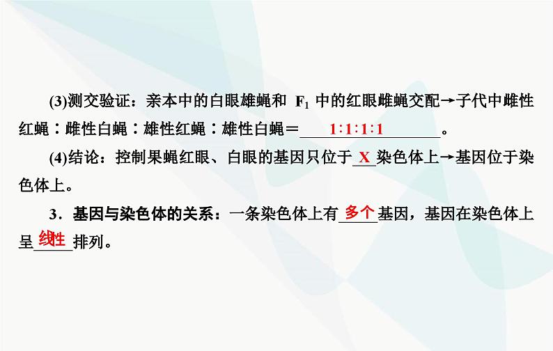 2024届人教版高考生物一轮复习伴性遗传和人类遗传病课件(单选版)第8页