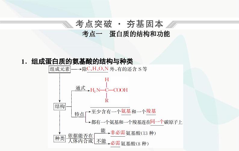 2024届人教版高考生物一轮复习蛋白质和核酸课件(单选版)04