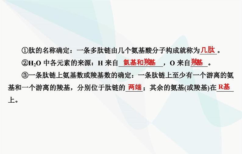 2024届人教版高考生物一轮复习蛋白质和核酸课件(单选版)06