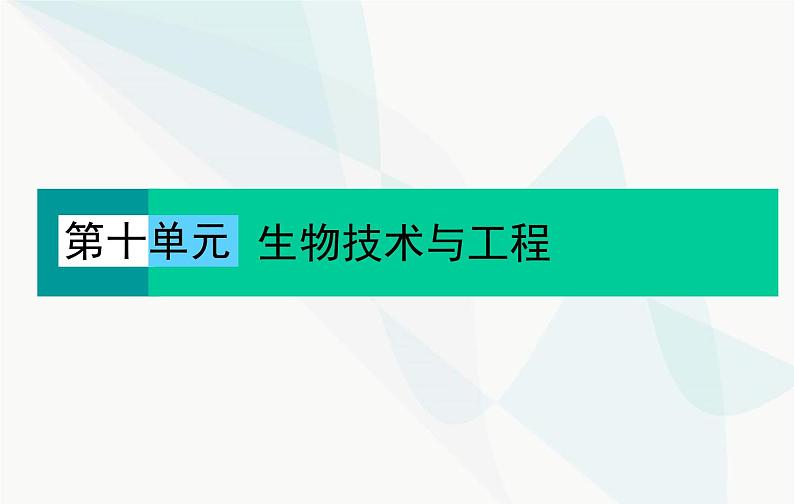 2024届人教版高考生物一轮复习发酵工程课件(单选版)01