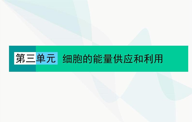 2024届人教版高考生物一轮复习光合作用和能量转化课件(单选版)01
