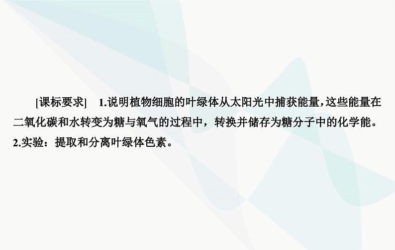 2024届人教版高考生物一轮复习光合作用和能量转化课件(单选版)03