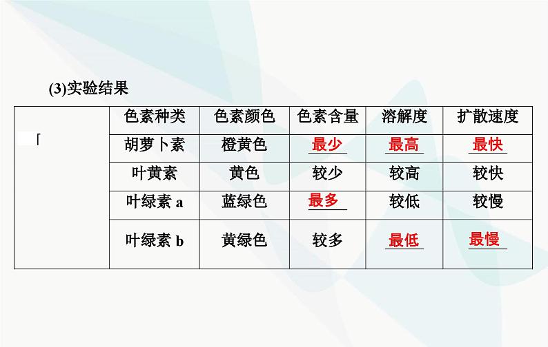 2024届人教版高考生物一轮复习光合作用和能量转化课件(单选版)06