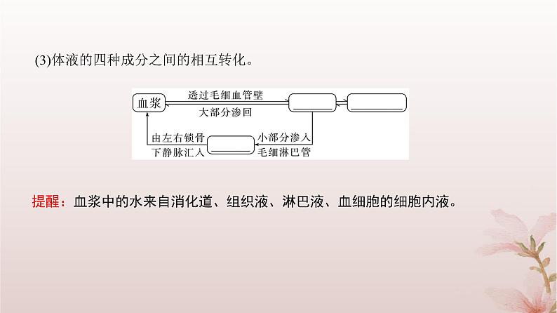 2024届高考生物一轮总复习第八单元稳态与调节第22讲人体的内环境与稳态课件第4页