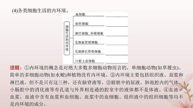 2024届高考生物一轮总复习第八单元稳态与调节第22讲人体的内环境与稳态课件第5页