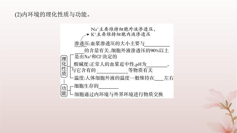 2024届高考生物一轮总复习第八单元稳态与调节第22讲人体的内环境与稳态课件第8页