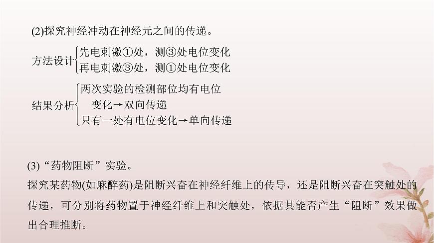 2024屆高考生物一輪總復(fù)習(xí)第八單元穩(wěn)態(tài)與調(diào)節(jié)微專題10神經(jīng)調(diào)節(jié)中興奮傳導(dǎo)與傳遞的實(shí)驗(yàn)探究課件第7頁(yè)