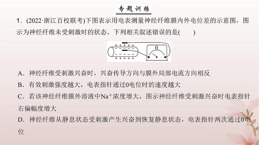 2024屆高考生物一輪總復(fù)習(xí)第八單元穩(wěn)態(tài)與調(diào)節(jié)微專題10神經(jīng)調(diào)節(jié)中興奮傳導(dǎo)與傳遞的實(shí)驗(yàn)探究課件第8頁(yè)