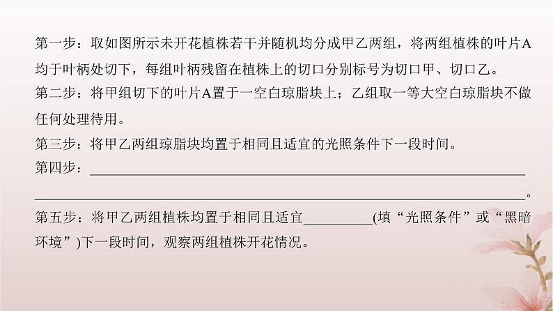 2024届高考生物一轮总复习第八单元稳态与调节实验专题5实验分析评价及解题思路课件07