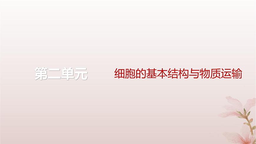 2024屆高考生物一輪總復(fù)習(xí)第二單元細胞的基本結(jié)構(gòu)與物質(zhì)運輸?shù)?講細胞器之間的分工合作課件第1頁