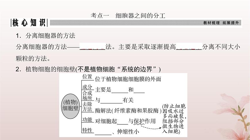 2024屆高考生物一輪總復(fù)習(xí)第二單元細胞的基本結(jié)構(gòu)與物質(zhì)運輸?shù)?講細胞器之間的分工合作課件第3頁