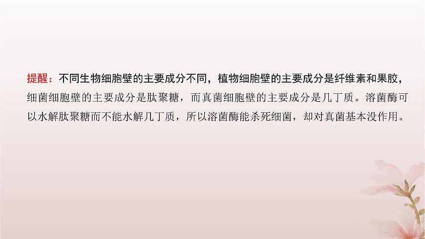2024屆高考生物一輪總復(fù)習(xí)第二單元細胞的基本結(jié)構(gòu)與物質(zhì)運輸?shù)?講細胞器之間的分工合作課件第4頁