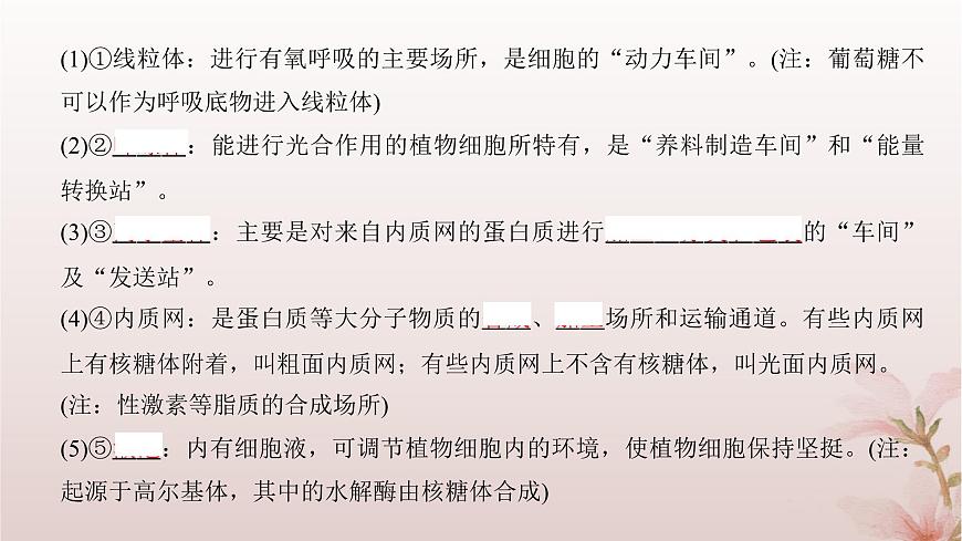 2024屆高考生物一輪總復(fù)習(xí)第二單元細胞的基本結(jié)構(gòu)與物質(zhì)運輸?shù)?講細胞器之間的分工合作課件第6頁