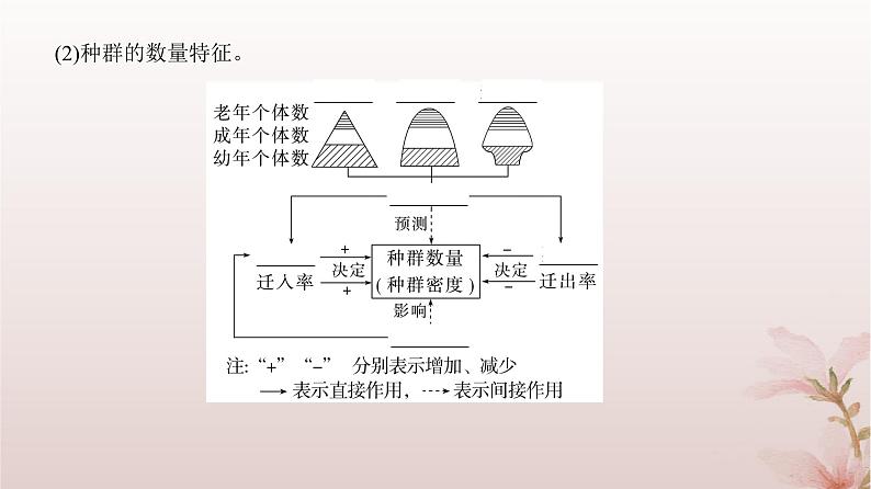 2024届高考生物一轮总复习第九单元生物与环境第27讲种群及其动态课件第4页