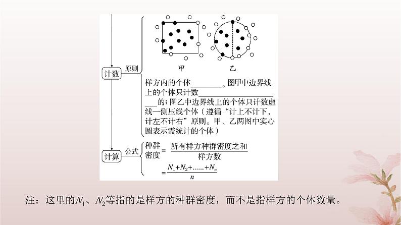 2024届高考生物一轮总复习第九单元生物与环境第27讲种群及其动态课件第8页