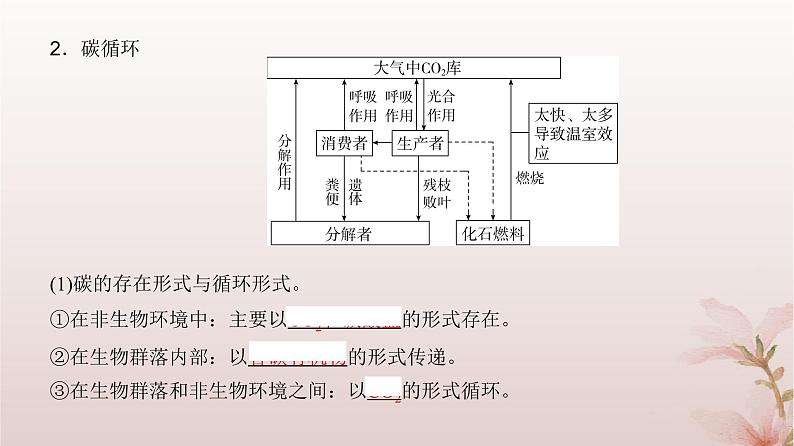 2024届高考生物一轮总复习第九单元生物与环境第30讲生态系统的物质循环信息传递及其稳定性课件第4页