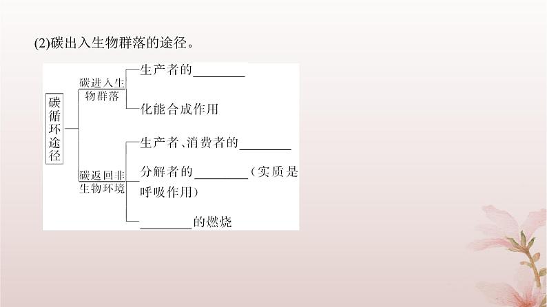 2024届高考生物一轮总复习第九单元生物与环境第30讲生态系统的物质循环信息传递及其稳定性课件第5页
