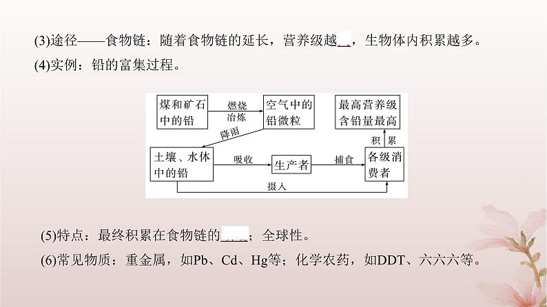 2024届高考生物一轮总复习第九单元生物与环境第30讲生态系统的物质循环信息传递及其稳定性课件第7页