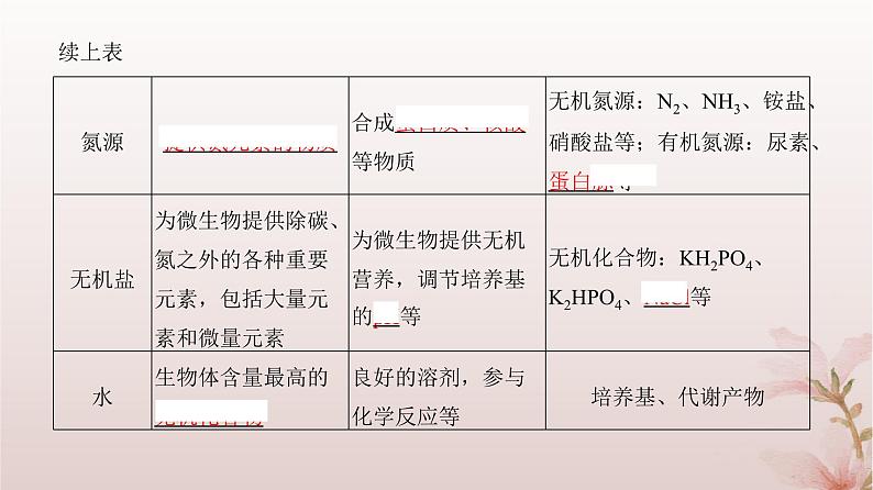 2024届高考生物一轮总复习第十单元生物技术与工程第33讲微生物的培养技术及应用课件第4页