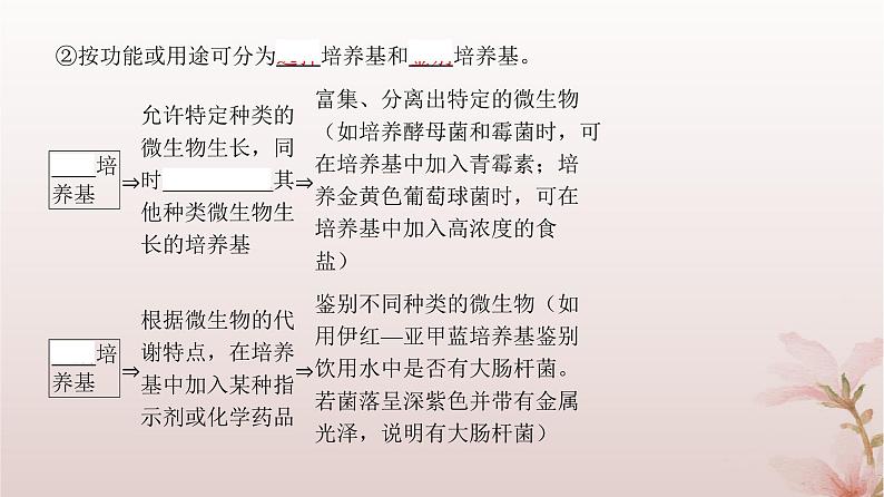 2024届高考生物一轮总复习第十单元生物技术与工程第33讲微生物的培养技术及应用课件第7页