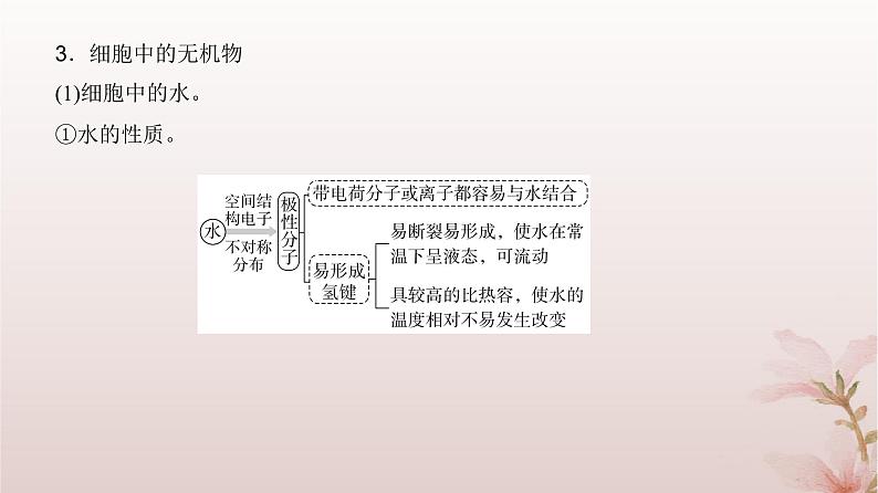 2024届高考生物一轮总复习第一单元细胞及组成细胞的分子第2讲细胞中的无机物糖类和脂质课件06