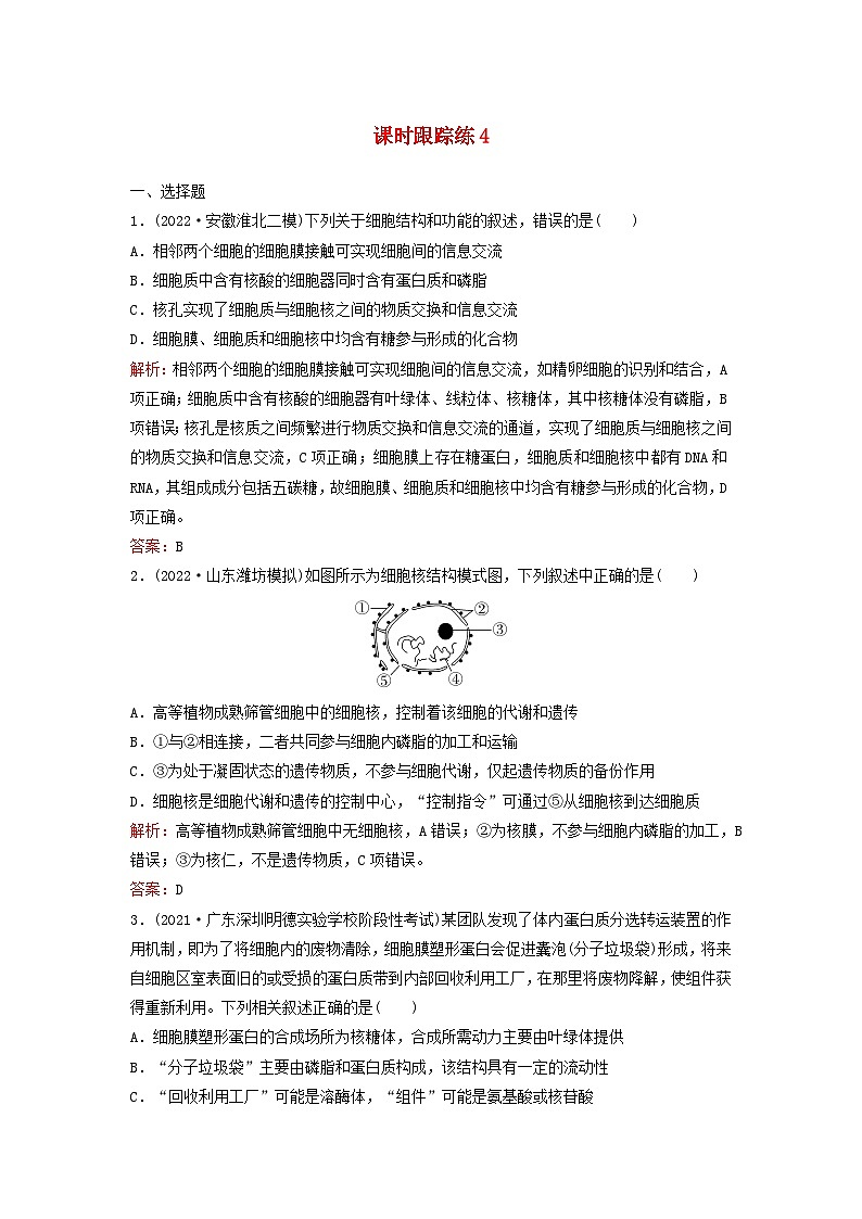 2024届高考生物一轮总复习第二单元细胞的基本结构与物质运输课时跟踪练4细胞膜与细胞核的结构和功能01
