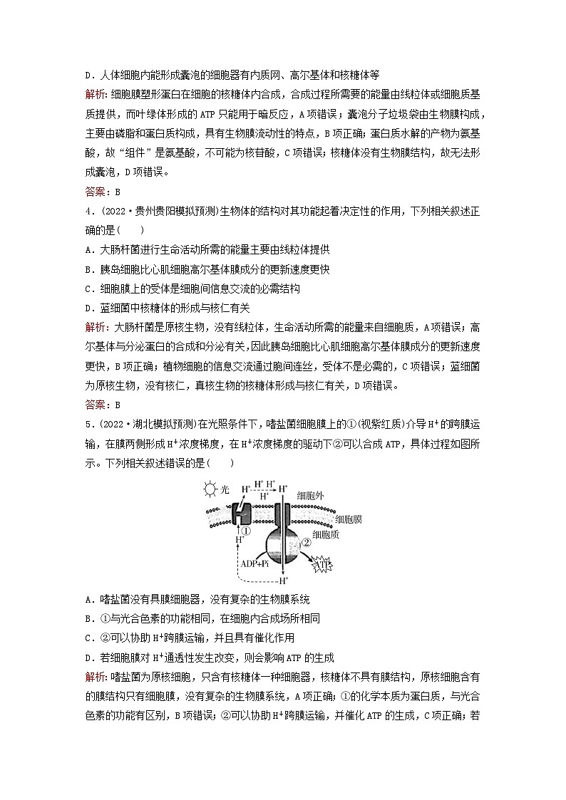 2024届高考生物一轮总复习第二单元细胞的基本结构与物质运输课时跟踪练4细胞膜与细胞核的结构和功能02