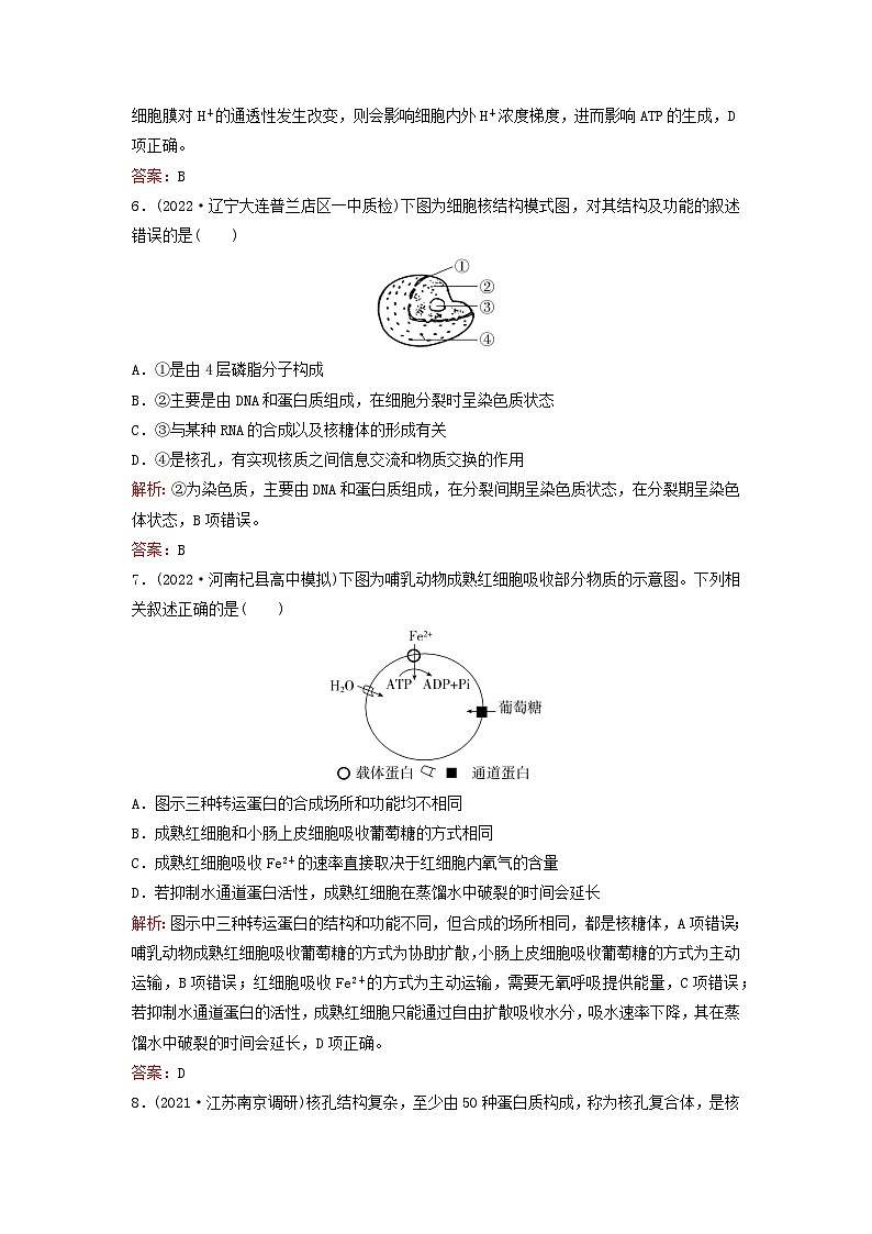 2024届高考生物一轮总复习第二单元细胞的基本结构与物质运输课时跟踪练4细胞膜与细胞核的结构和功能03