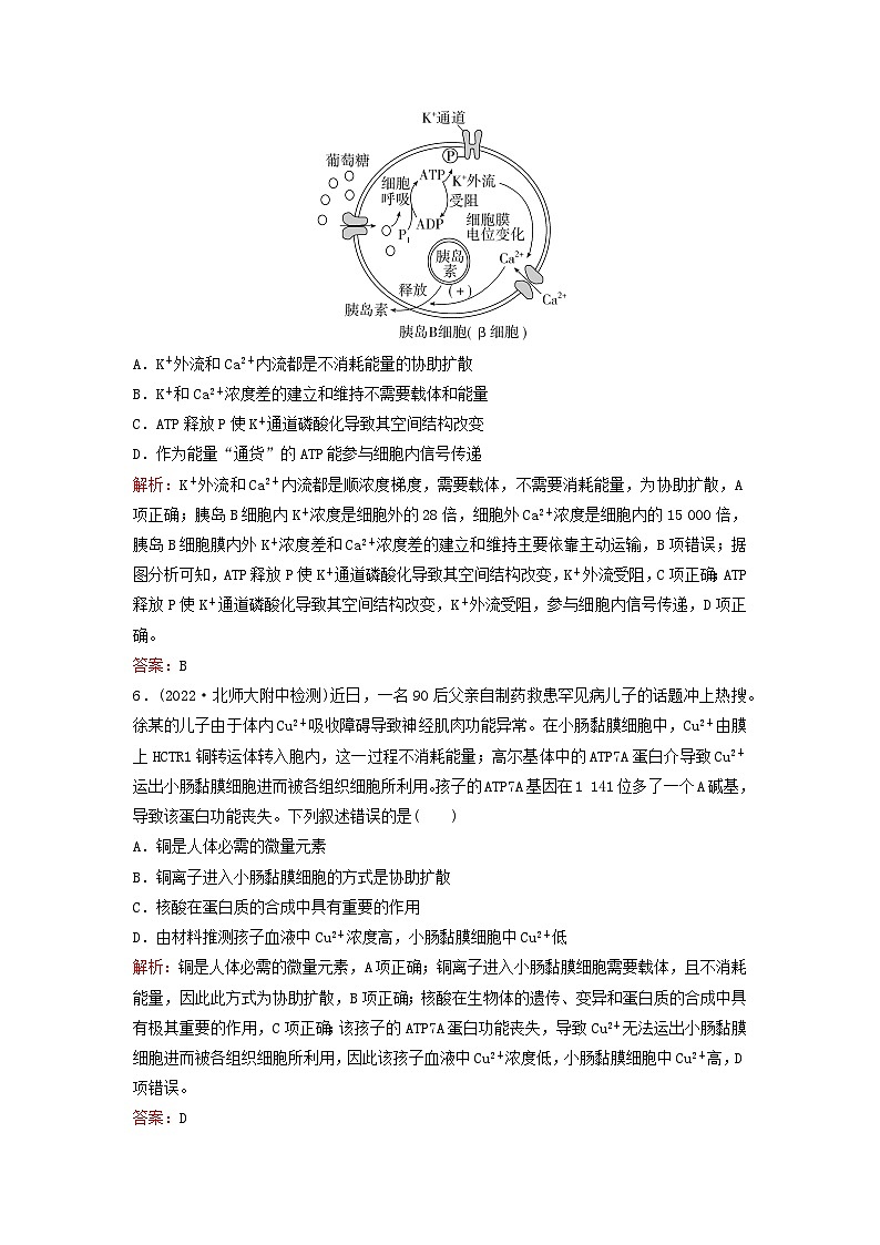 2024届高考生物一轮总复习第二单元细胞的基本结构与物质运输课时跟踪练6细胞的物质输入和输出03