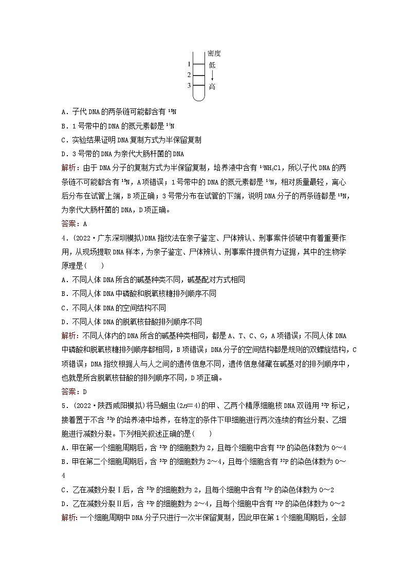 2024届高考生物一轮总复习第六单元遗传的分子基础课时跟踪练17DNA的结构复制及基因的本质02
