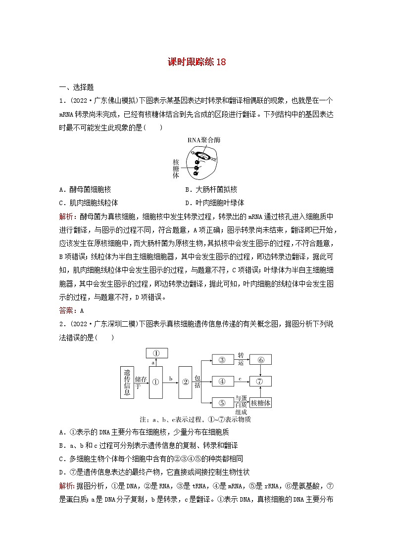 2024届高考生物一轮总复习第六单元遗传的分子基础课时跟踪练18基因的表达01