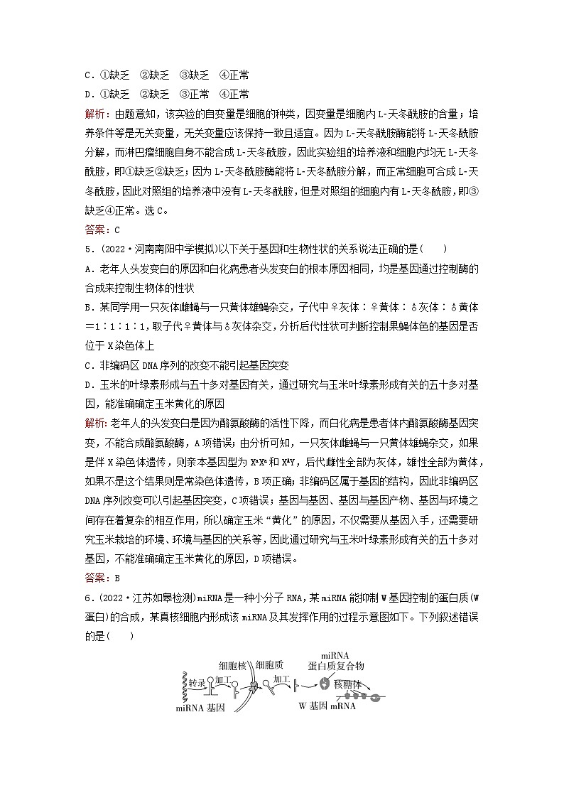 2024届高考生物一轮总复习第六单元遗传的分子基础课时跟踪练18基因的表达03