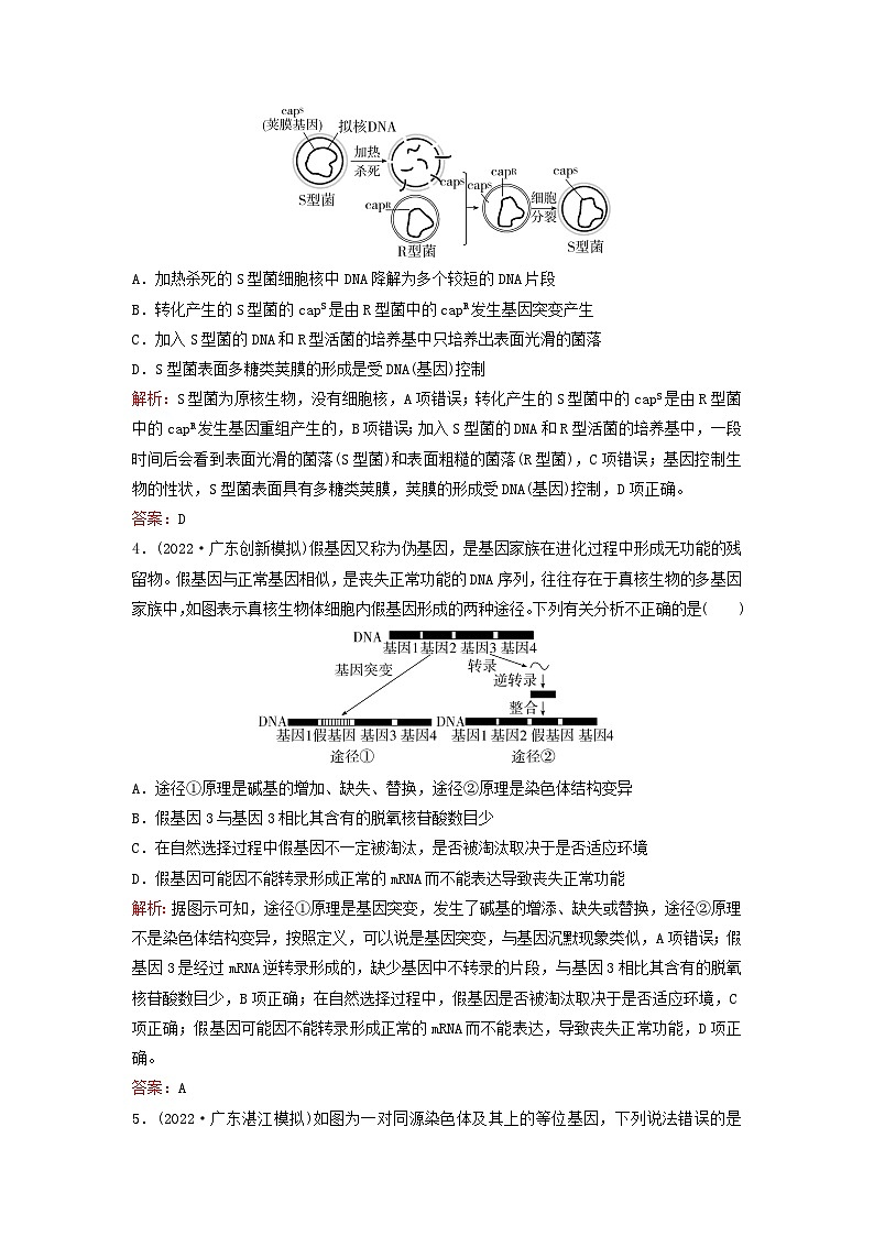 2024届高考生物一轮总复习第七单元生物的变异和进化课时跟踪练19基因突变与基因重组第2页